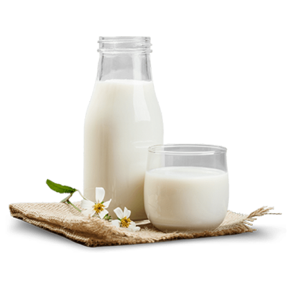 Milk