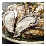 Wholesale Japanese Aquaculture Shellfish Meat Fresh Frozen Seafood Including Oysters From Farm Exported At Competitive Price