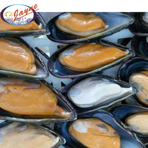 Deep Freezing Cold Shellfish Well Cooked Blue Mussel 2/2 Shell Catch Fresh Out Of Sea