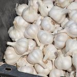 Best Selling Lowest Prices Natural Food Grade 100% Organic Dehydrated Garlic Manufacture