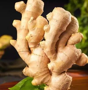 New Crop Fresh Dry Ginger 10kg Box for Wholesale Ginger Price Good Quality